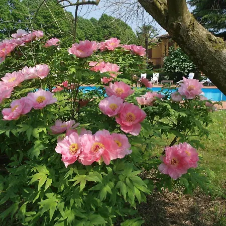 Furry Frinds With Family Home Faenza