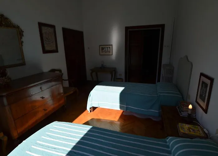 Furry Frinds With Family 파엔차