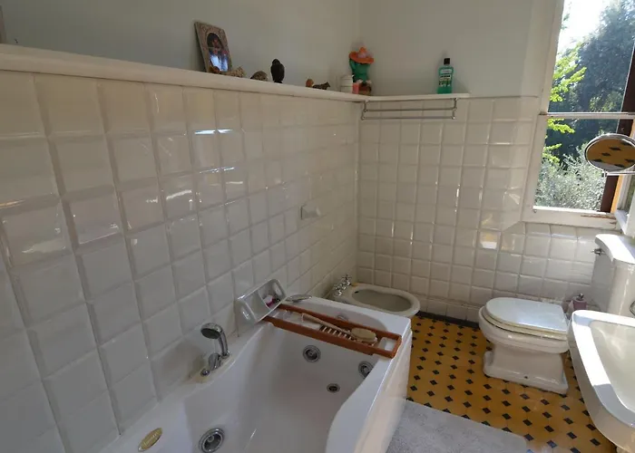 Furry Frinds With Family 파엔차