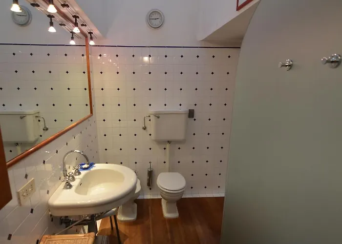 Furry Frinds With Family Faenza