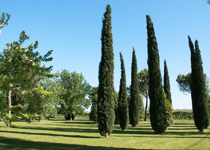 Furry Frinds With Family 파엔차