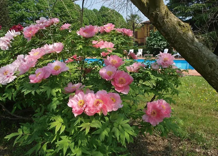 Furry Frinds With Family Faenza