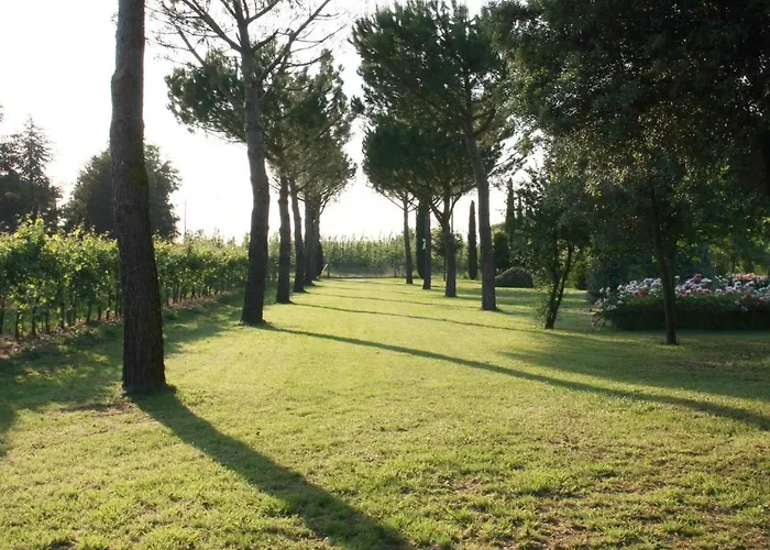 Furry Frinds With Family